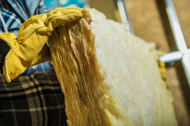 Best Spray Foam Insulation  in Andrews, TX