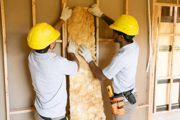 Best Best Insulation Companies  in Andrews, TX
