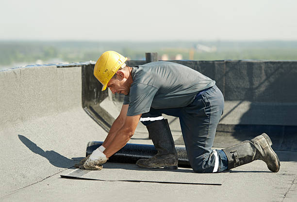 Best Insulation Removal Services  in Andrews, TX