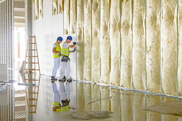 Best Insulation Removal  in Andrews, TX